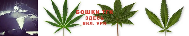 шишки Семилуки