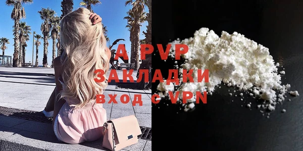 спиды Белокуриха