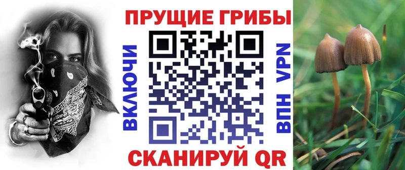 маркетплейс состав  Каменск-Шахтинский  Псилоцибиновые грибы GOLDEN TEACHER 